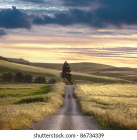 road crosses rural landscape with the silhouette of tree on background the colors of the sunset