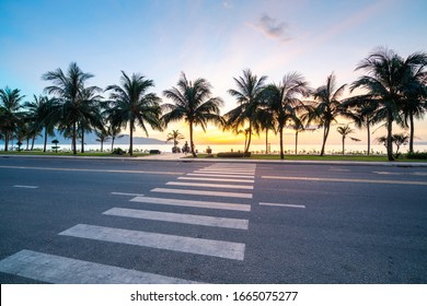 Road Crossing With Coconut Tree Line By Beach At Sunrise