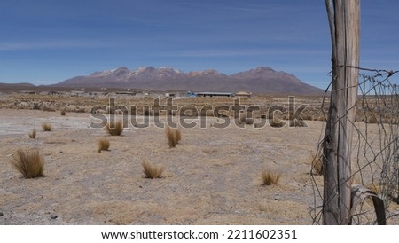 Road crossing a hot, sandy, huge desert, with some lakes and little greenery, with some birds in the surroundings, in Peru. A group of wild alpacas in a hot, dry, with metal and wooden barrier