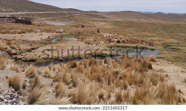 Road crossing a hot, sandy, huge desert, with some\
lakes and little greenery, with some birds in the surroundings, in\
Peru
