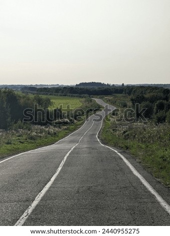 The road cuts through a lush field with trees lining the sides, under a vast sky. Asphalt road surface blends into the natural landscape, with grassy patches along the thoroughfare
