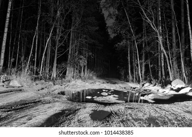 road in dark forest