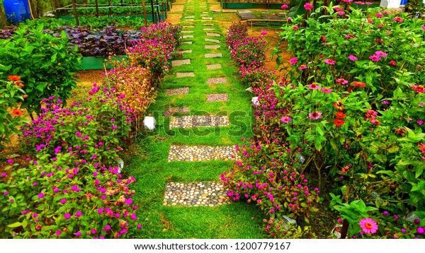 Road Decorations Flower Gardens Nature Parks Outdoor Stock Image