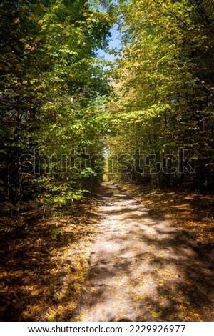 Similar – Wald im Frühling Erholung