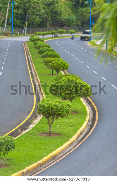 road with\
a dividing strip of green grass and\
trees