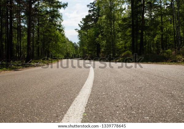 a\
road with a dividing strip passing through the\
forest
