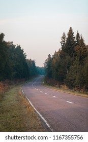 Road in the early autumnal forest, morning view, toned