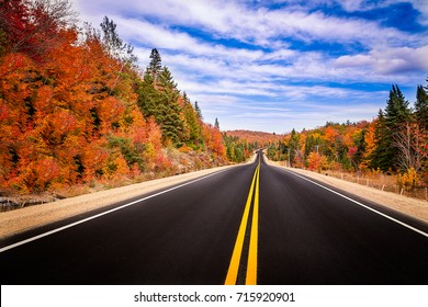 A Road In The Fall