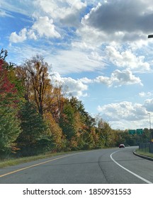 Road fall trees sky fall clouds