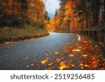 Road with fallen leaves in beautiful forest in golden autumn. Empty mountain road, trees with red and orange foliage in rain. Colorful landscape with wet road in woods in fall season. Transportation