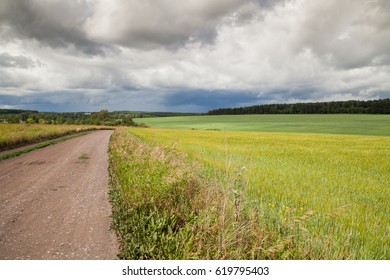 Road in the field