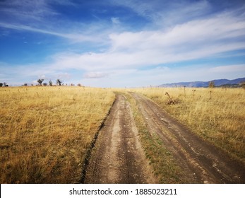 Road in the field in the fall