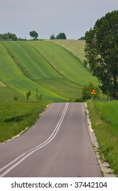 Road in the fields
