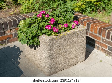 Road Flower Pot, Street Bed, Plant Boxes Modern City Floristry, Urban Flowerbeds Design, City Flowers Landscaping, Blooming Pots on Summer Street
