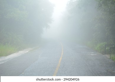 The Road In The Fog