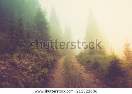 Road in the fog of the mountain forest.Filtered image:cross processed vintage effect.