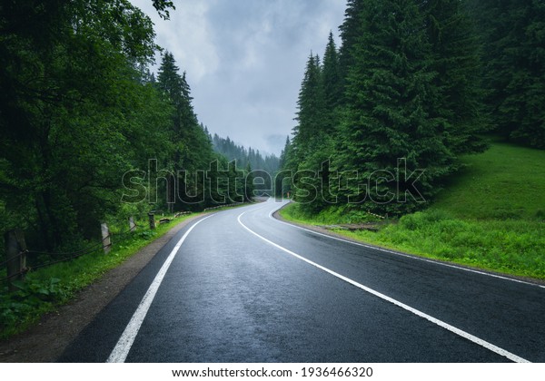 Road in foggy forest in rainy day in spring.\
Beautiful mountain curved roadway, trees with green foliage in fog\
and overcast sky. Landscape with empty asphalt road through woods\
in summer. Travel