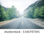 road in forest