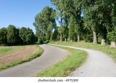 road in the forest 2