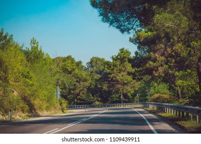 road in the forest