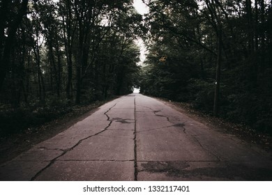 Road in forest