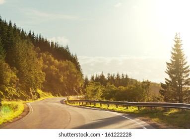 road in forest