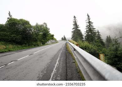 the road in the forest