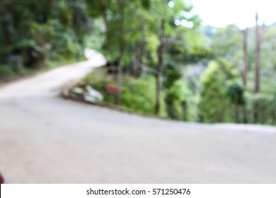 a road in the forest