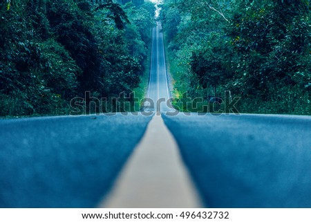 Road in forest