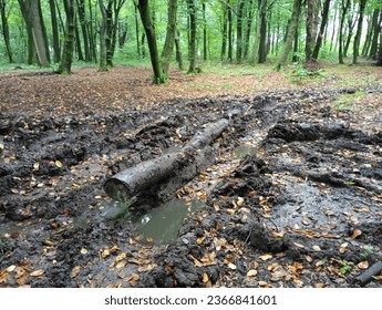 The road in the forest is broken. There is a lot of swamp on the forest road. The trunk of a felled tree lies in the middle of the path. - Shutterstock ID 2366841601