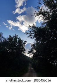 Road in the forest with clouds