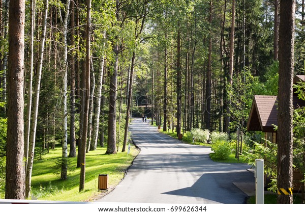 Road in the forest\
with lanterns and signs