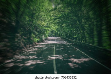 Road in forest in motion blur 