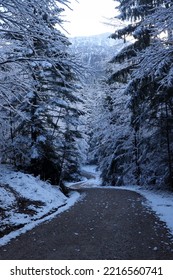 Road In The Forest With A Mountain In The Background In The Bavarian Alps On A Cold, Snowy Autumn Day In Germany.