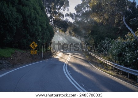 Road in the forest, sharp turn, sun rays through fog and trees, road sign, symbol