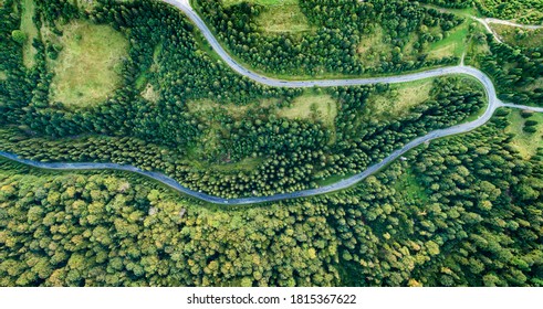 The road in the forest was shot from a bird's eye view. Photo taken with a drone.