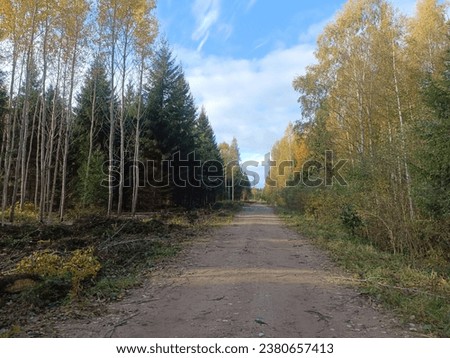 Road in forest in Siauliai county during cloudy autumn day. Oak and birch tree woodland. Cloudy day with white clouds in blue sky. Bushes are growing in woods. Sandy road. Nature. Miskas.	