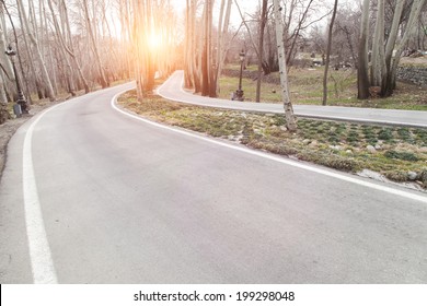 road in forest with sunset