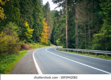 Road In Forest At Sunset In Spring. Beautiful Mountain Roadway, Trees With Green And Orange Foliage. Landscape With Empty Asphalt Winding Road Through Woodland In Autumn. Travel In Europe. Nature