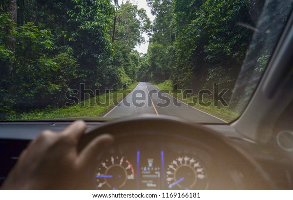 Road\
in the forest and take this photo from inside\
car.