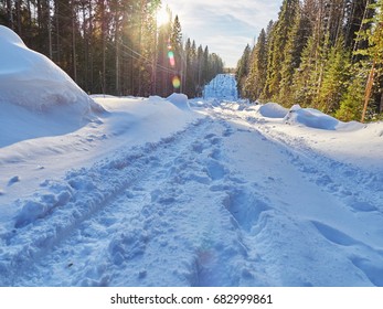 Road in the forest. Winter