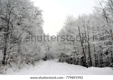 Similar – Image, Stock Photo Tracks in the snow Winter