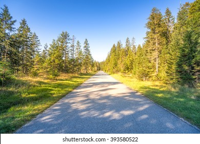 Road, Forrest, Bavaria 