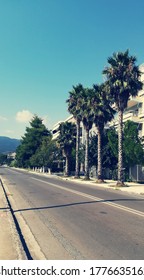 A road full of trees.