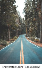 Road To Glacier Point, Yosemite National Park