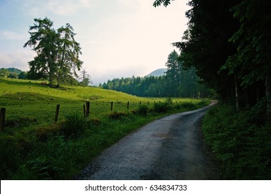 Road At Glen Tilt, Scotland