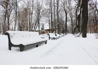 A Road Goes Into A Distance In Snowy Winter Park At Freezing Cold Day Without People. Walking Path In City Park With Bare Branched Trees. A Wooden Benches Covered With Snow. A Place For Walks Outdoors