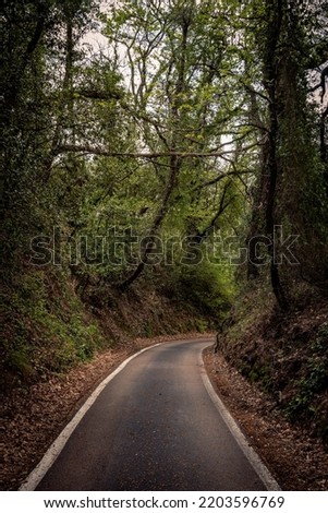 Similar – Image, Stock Photo Forest road landscape with couple riding motorbike