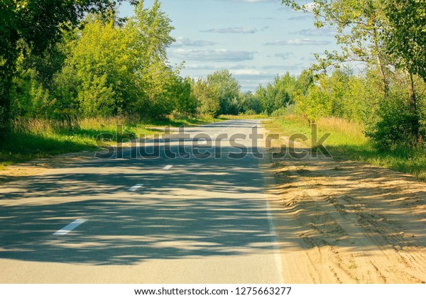 The road going into the distance with a Bush on\
the roadsides