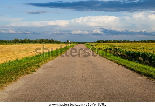 Road going into the distance in the countryside\
between the fields